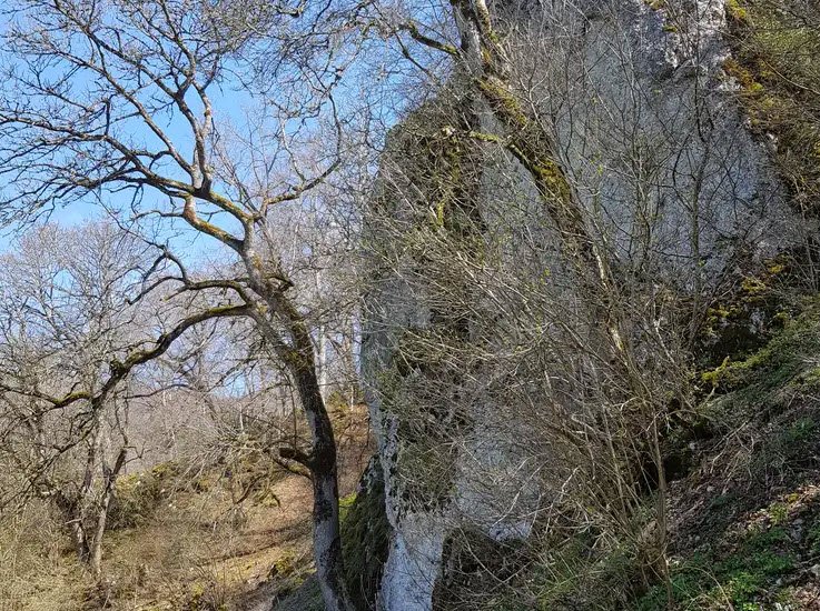 Storzinger Schlössle, Germany